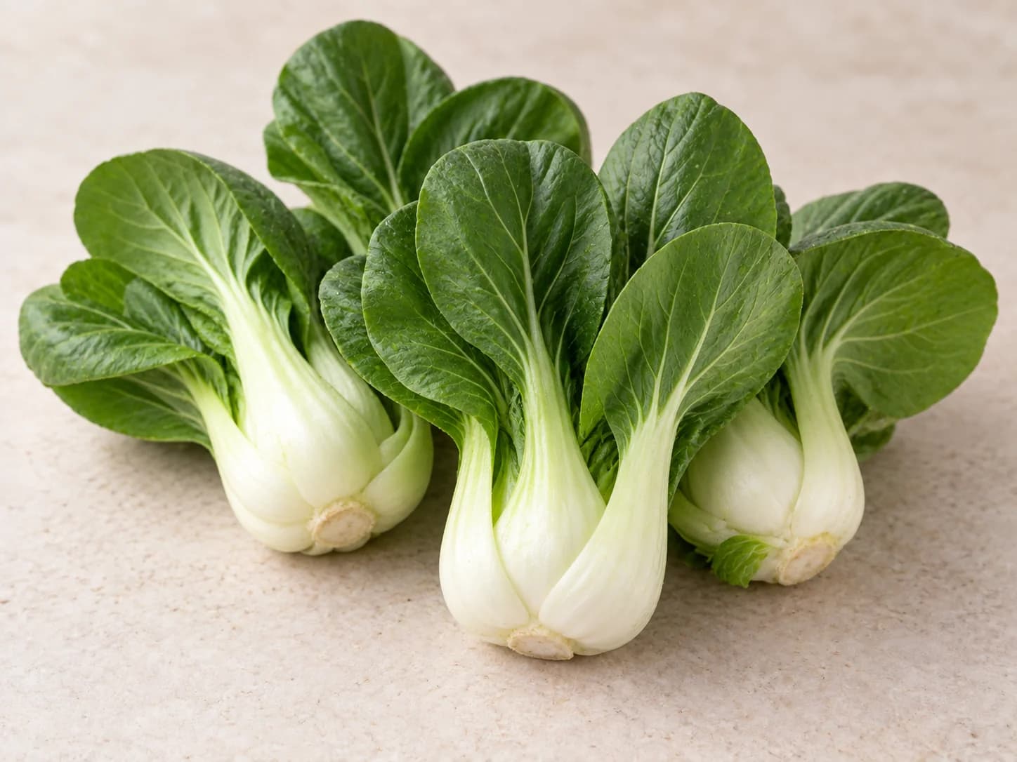 小白菜图片