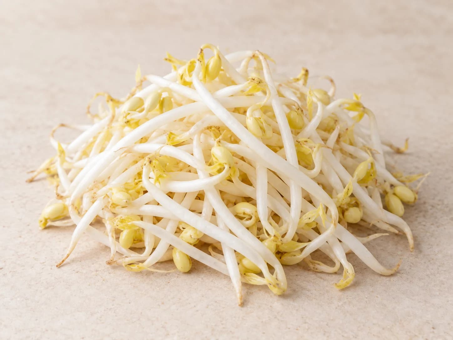 豆芽图片